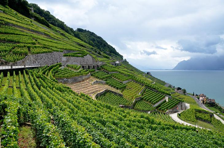 Куда поехать из Женевы: 15 лучших поездок одного дня