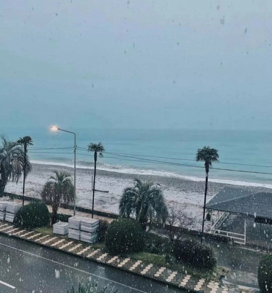 &laquo;Лучше вообще никуда не ехать&raquo;: туристка делится разгромным отзывом об отдыхе в Абхазии