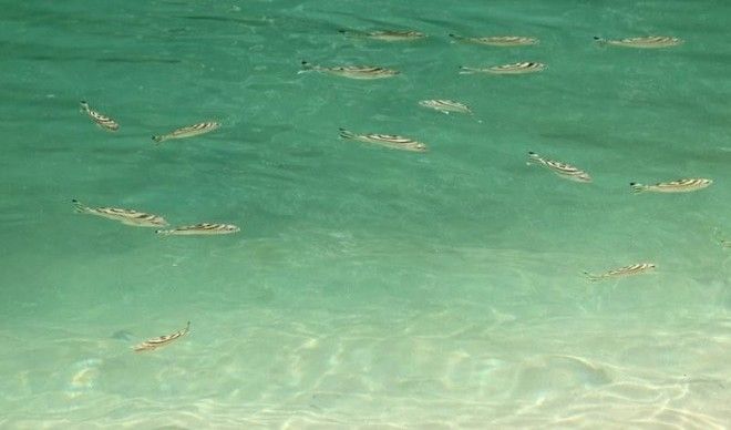 Палаван: жизнь на самом красивом острове мира