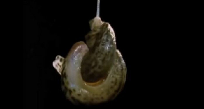 Пользователи сети опознают загадочные и непонятные штуки