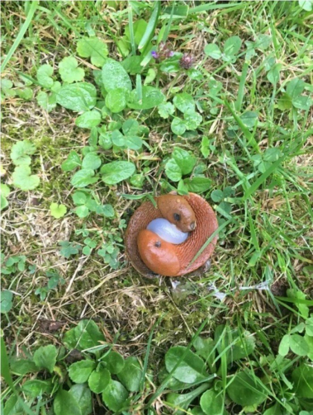 Пользователи сети опознают загадочные и непонятные штуки