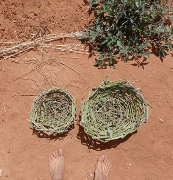 Разные вещи, которые «выживальщики» делают своими руками