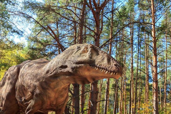 Сказочные места: 12 тематических парков в России