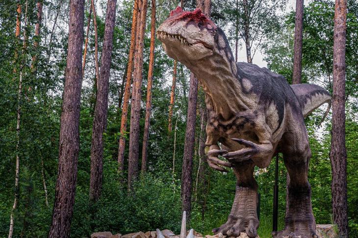 Сказочные места: 12 тематических парков в России