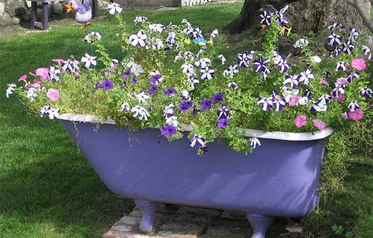 Создаем великолепные клумбы из подручных материалов