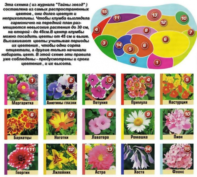 Создаем великолепные клумбы из подручных материалов