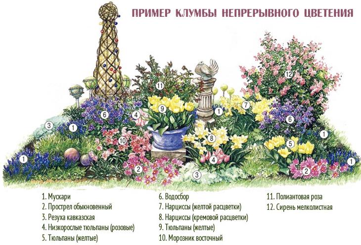 Создаем великолепные клумбы из подручных материалов