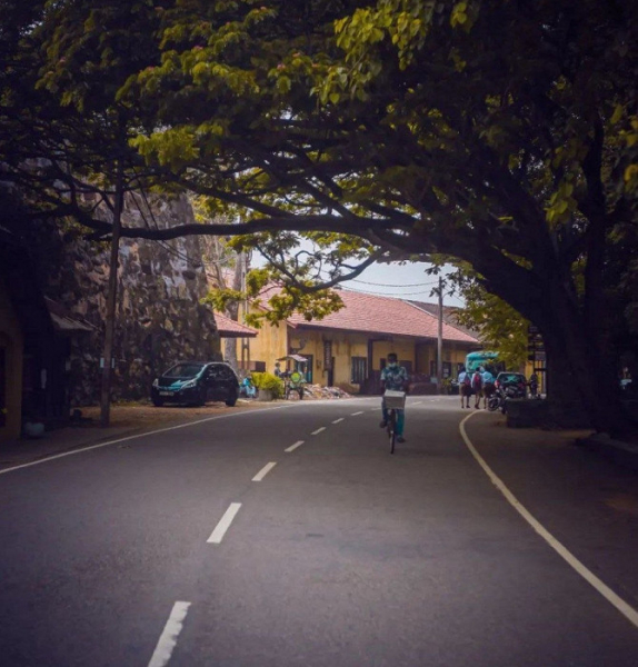 «Такой долгий отпуск мы совсем не планировали»: рассказ застрявшей на Шри-Ланке туристки