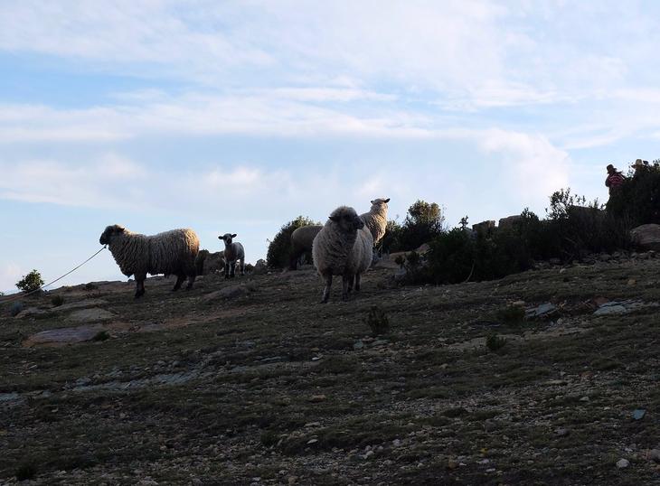 Все краски озера Титикака