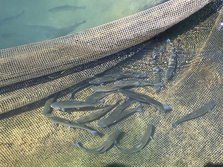 Все краски озера Титикака