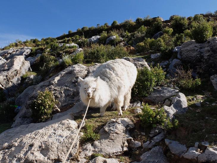 Все краски озера Титикака