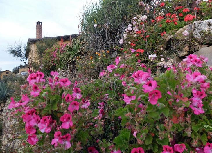 Все краски озера Титикака