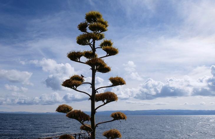 Все краски озера Титикака