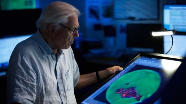 Динозавры вымерли из-за падения астероида. Ученые нашли ногу динозавра, который, вероятно, пал в числе первых