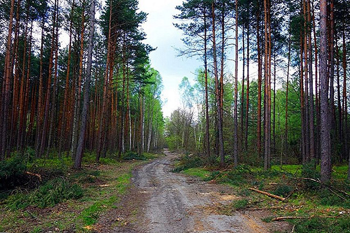 15 мистических и манящих мест в Индии, которые стоит увидеть хоть раз даже непосвящённым