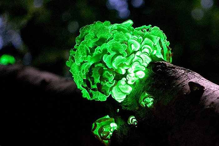 15 мистических и манящих мест в Индии, которые стоит увидеть хоть раз даже непосвящённым