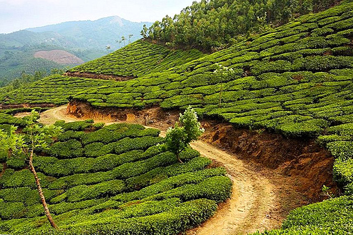 15 мистических и манящих мест в Индии, которые стоит увидеть хоть раз даже непосвящённым