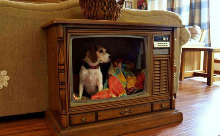 15 стильных кроватей-тумбочек для домашних питомцев