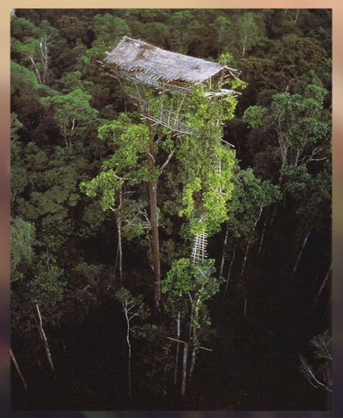 16 щекочущих нервы фото заброшенных зданий, куда годами не ступала нога человека