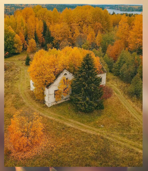 16 щекочущих нервы фото заброшенных зданий, куда годами не ступала нога человека