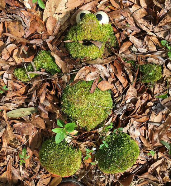 18 реальных случаев, когда цивилизация проиграла битву против природы