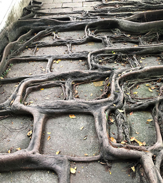 18 реальных случаев, когда цивилизация проиграла битву против природы