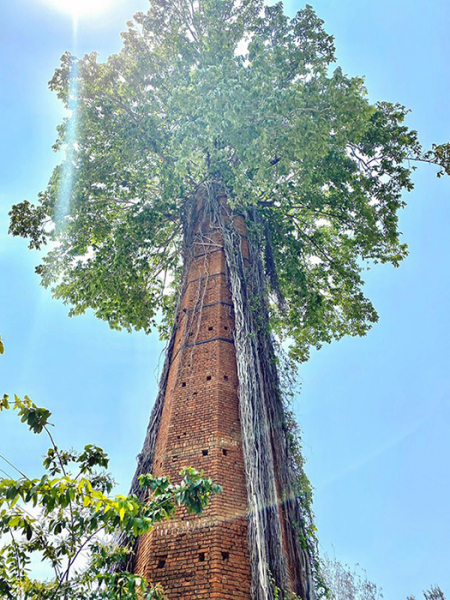 18 реальных случаев, когда цивилизация проиграла битву против природы