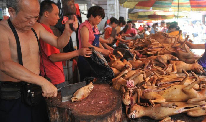 20 шокирующих фактов о Китае, о которых знают не все