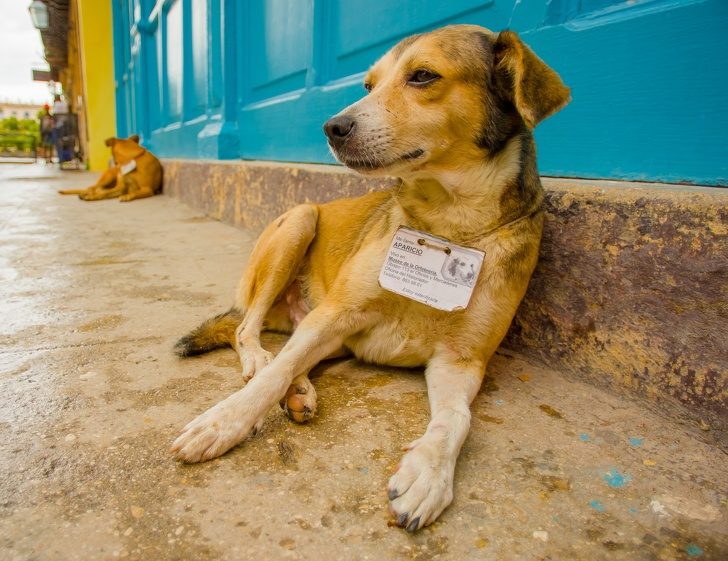 9 причин по уши влюбиться в Кубу