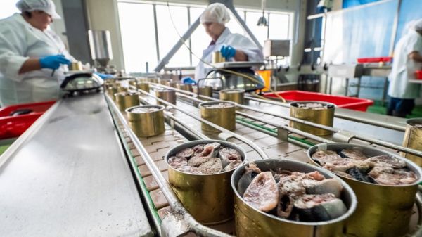 Виноградный сок вместо апельсинового и дорогой хлеб. Как в России ищут новых поставщиков продуктов?