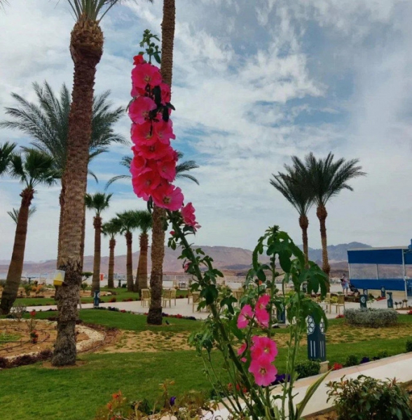 «Берите смело, пока нормальные цены»: отдыхающая в Египте россиянка рассказывает об обстановке в стране