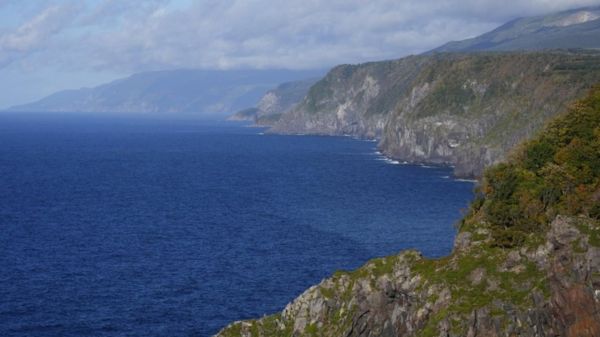 У берегов Японии пропало судно с 24 туристами. Команда успела сообщить, что оно тонет