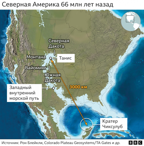 Динозавры вымерли из-за падения астероида. Ученые нашли ногу динозавра, который, вероятно, пал в числе первых