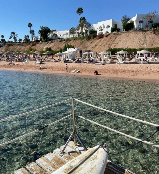 «Этот отель испортит вам впечатление о Египте»: туристка делится негативным отзывом об отдыхе в Шарм-эль-Шейхе