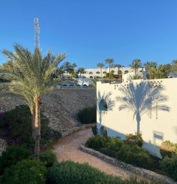 «Этот отель испортит вам впечатление о Египте»: туристка делится негативным отзывом об отдыхе в Шарм-эль-Шейхе