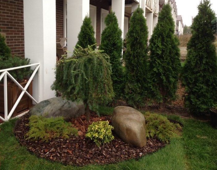 Идеи, которые помогут превратить садовый участок в место сказочной красоты