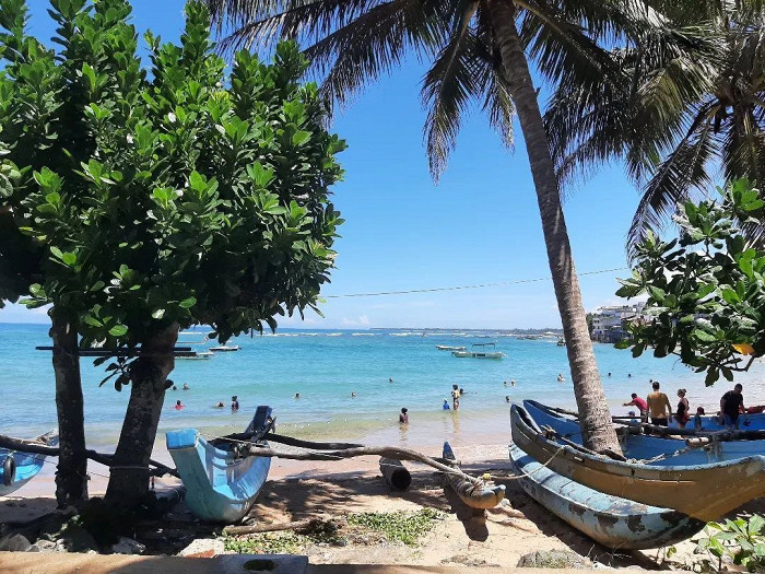 «Интереснее Египта и Турции однозначно»: туристка делится отзывом об отдыхе на Шри-Ланке