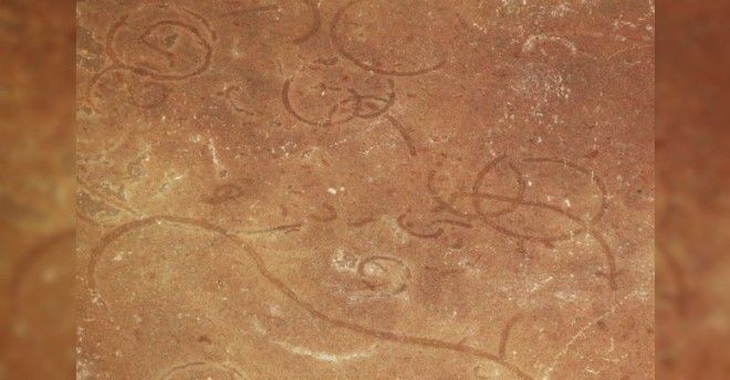 Интересные и удивительные факты о Земле