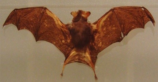 Интересные и удивительные факты о Земле