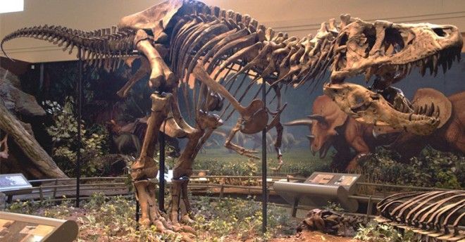 Интересные и удивительные факты о Земле