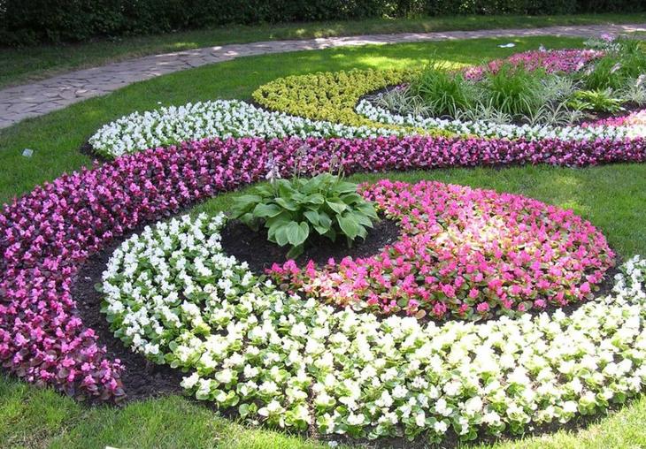 Клумба непрерывного цветения: украшение сада на все сезоны