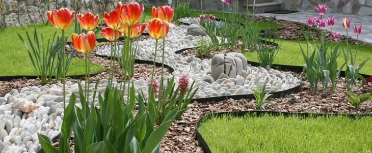 Клумба непрерывного цветения: украшение сада на все сезоны