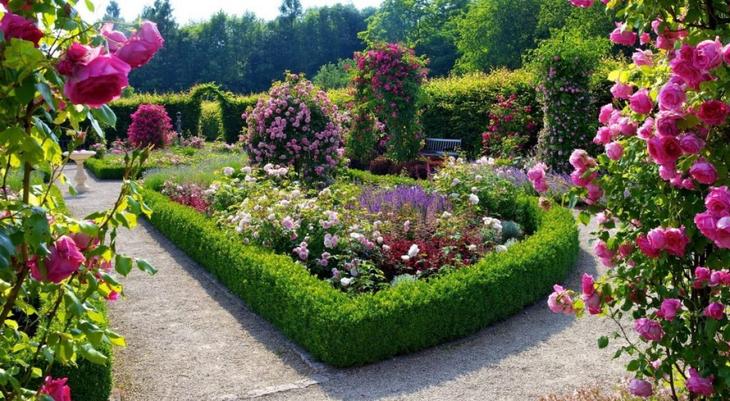 Клумба непрерывного цветения: украшение сада на все сезоны