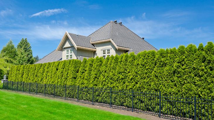 Ландшафтный дизайн вашего участка своими руками