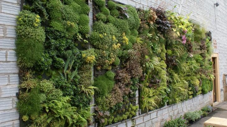 Ландшафтный дизайн вашего участка своими руками