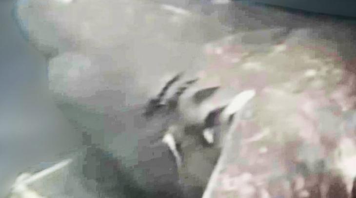 Неразгаданные тайны, сокрытые под толщей океана