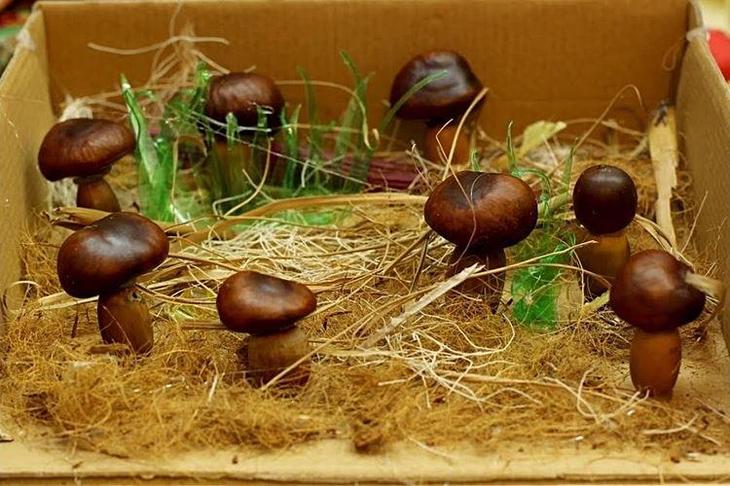 Поделки своими руками