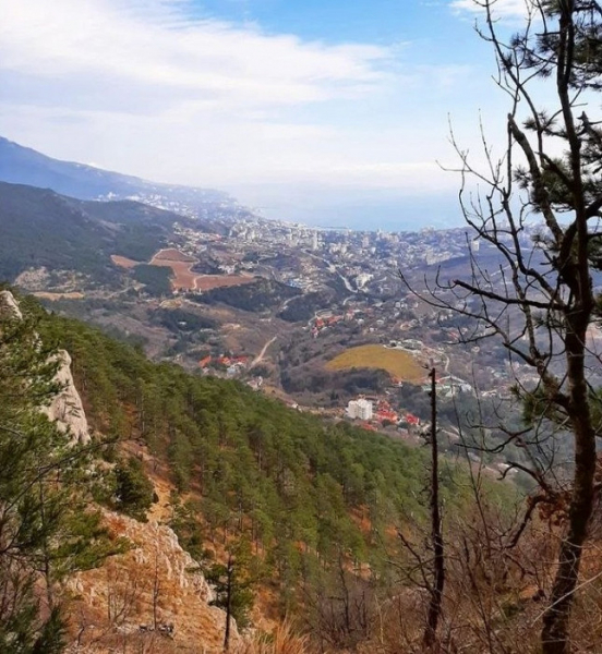 Псевдоаниматоры, жадные таксисты и фото с животными: россиянка рассказывает о самых популярных способах обмана в Крыму