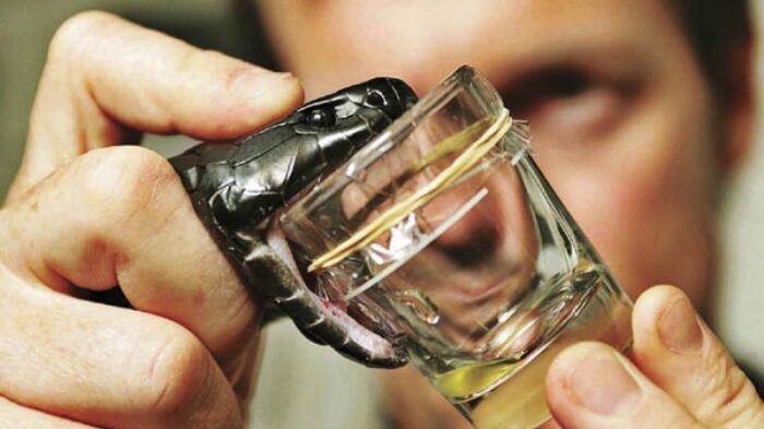 Работа, от которой коленки трясутся: 7 экстремальных профессий