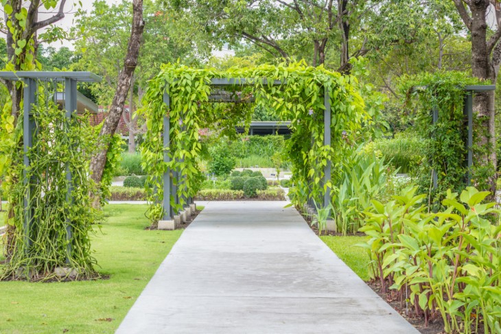 Садовые дорожки своими руками: правила укладки и дизайна